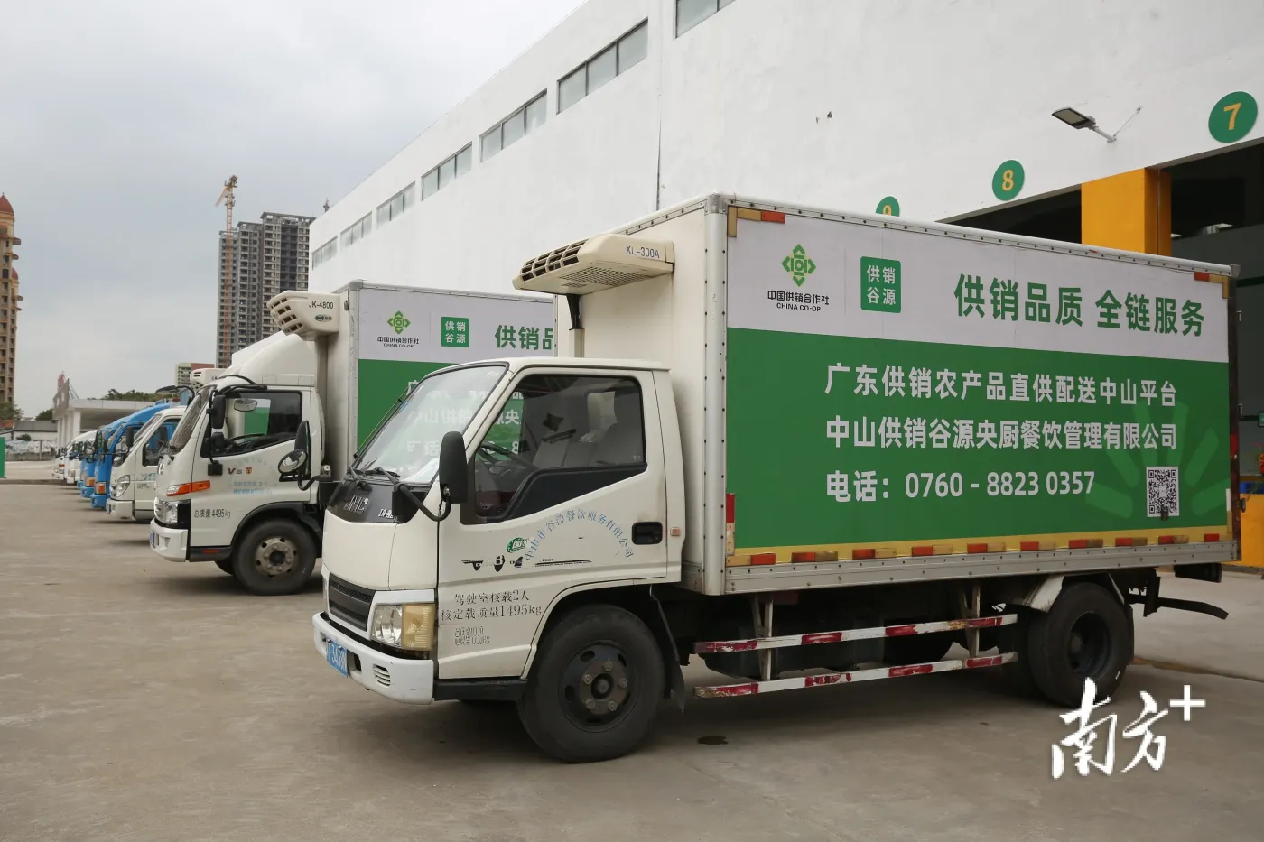四川水果批发选购指南:优质新鲜的保障